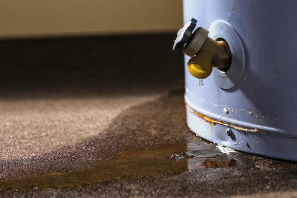Best Flood damage cleanup  in Plumas Lake, CA