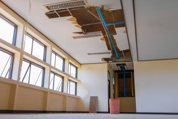 Best Water damage cleanup near me  in Plumas Lake, CA