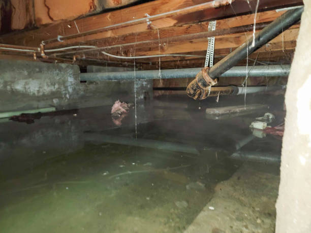 Best 24-hour water damage restoration  in Plumas Lake, CA