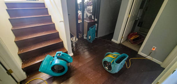 Best Local water damage restoration  in Plumas Lake, CA