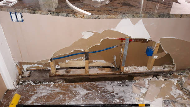 Best Professional water damage repair  in Plumas Lake, CA