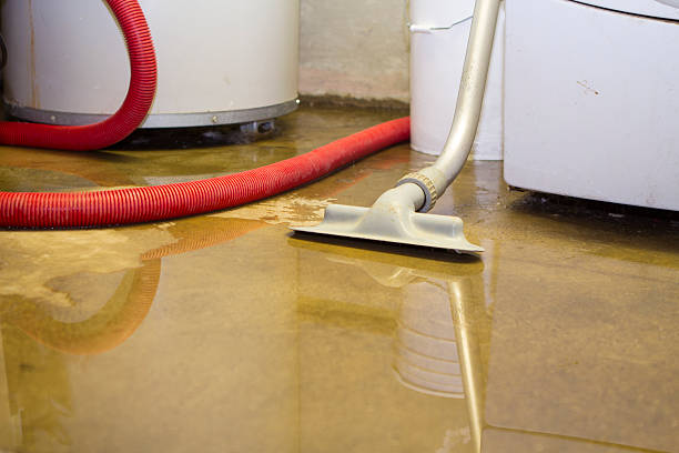 Local water damage restoration in Plumas Lake, CA