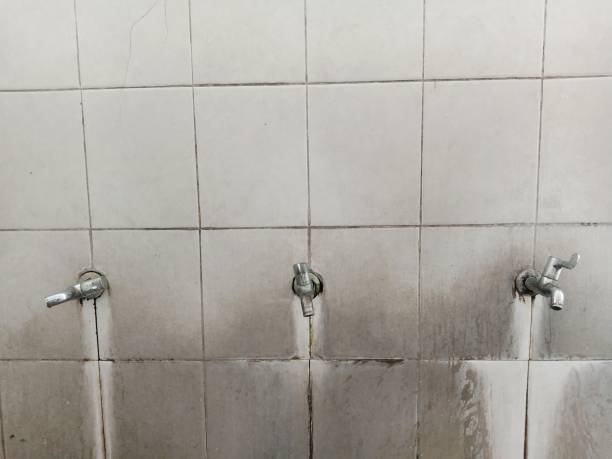 Best Water damage restoration near me  in Plumas Lake, CA