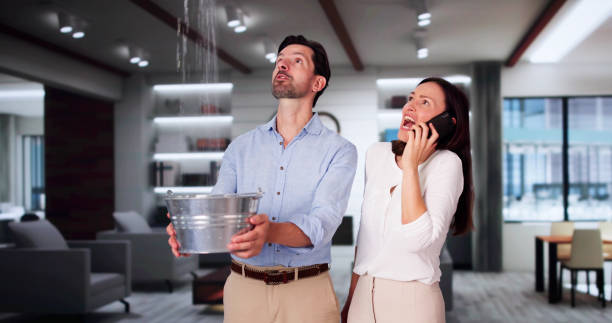 Best Water damage contractors near me  in Plumas Lake, CA